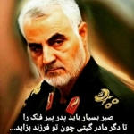 فروشگاه Mojtaba Bek