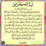 فروشگاه Omid Mokhtarpor