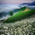 فروشگاه Javad