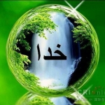 فروشگاه M y.