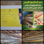 فروشگاه mohamad khodabandehlo