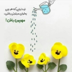 فروشگاه P.t 