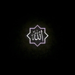 فروشگاه alireza