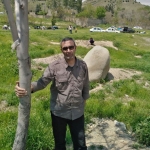 فروشگاه Mahmod 