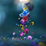 فروشگاه jafarzadeh 