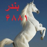 فروشگاه سیدطوفانی 1687