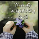 فروشگاه Hossein baba