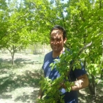 فروشگاه Ali Ebneyamini