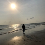 فروشگاه Hassan .v