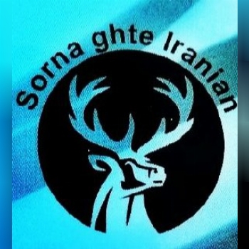 بلبرینگ تسمه 
