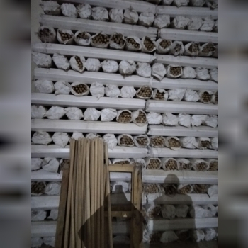 دسته بیل ترکیه بسیار بادوام بدون هی