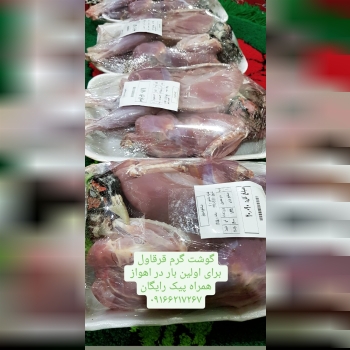 فروش گوشت گرم قرقاول در اهواز برای 