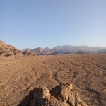 فروشگاه ☻°l||l°.мỠЊẤммẤĎ.°l||l°☻ 