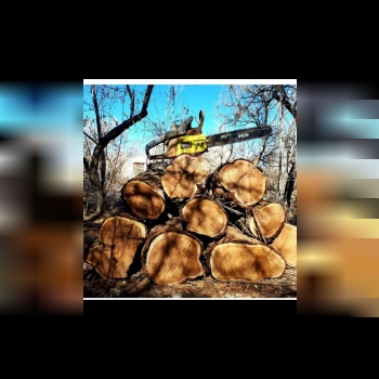 فروش انواع اره شارژی و بنزینی استو