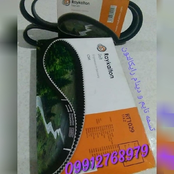 نمایندگی فروش تسمه رایکالتونبا تخف