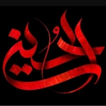 فروشگاه امیر 