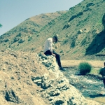 فروشگاه Alizadeh 