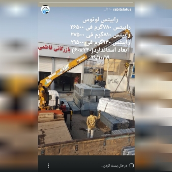رابیتس لوتوس