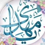 فروشگاه امیر0 amir