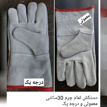 ایمن پخش مهدی تهیه وتوضیع کلیه لوا