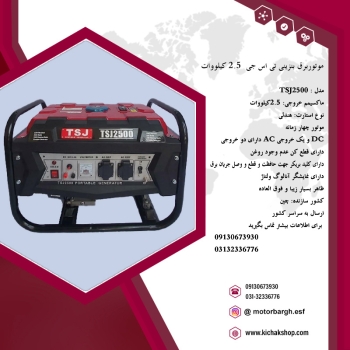 موتوربرق بنزینی تی اس جی 2.5کیلووات