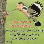 فروشگاه یاقوت