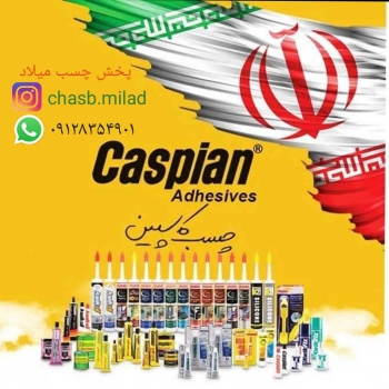 پخش انواع چسب