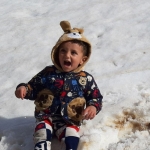فروشگاه arian 