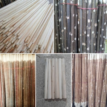 با کار های ما،بهترین فروشنده دنیا ش