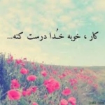 فروشگاه Seyed Hasan mohammadi