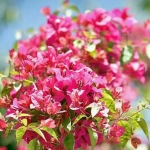 فروشگاه الکتریکی محمد 