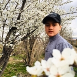 فروشگاه اصغر محرمی