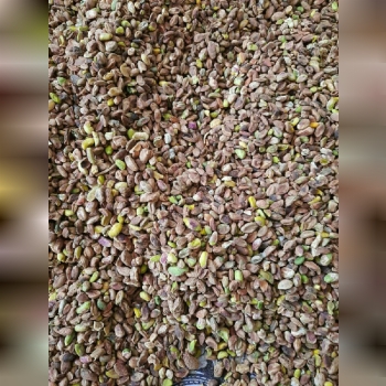 مغز پسته گندمی تمیز مستقیم از باغ
