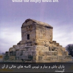 فروشگاه Alireza. Hosin zade