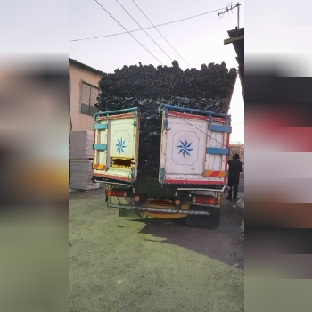 بار ارسالی مشتری عزیزمون برای استان