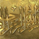 فروشگاه M-RAD
