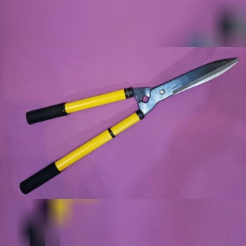 شمشاد زن تلسکوپی