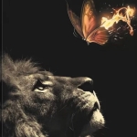 فروشگاه Farshid 