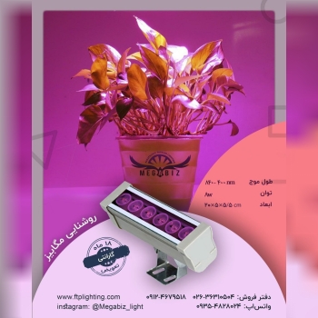 والواشر 6 وات رشد گیاهمناسب برای 