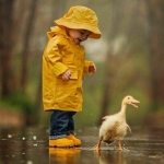 فروشگاه Hossein 