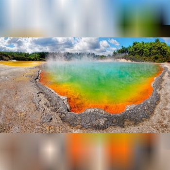 ذذذذذذذذذذذذذذذذ