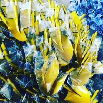 تولید ملی افتخار ملی