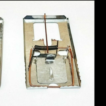 آرتین صنعت تولید کننده تله موشهای ف