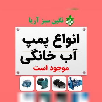 09125539725 - 