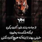فروشگاه A..gased..S 