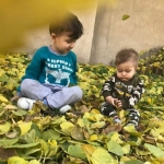 فروشگاه مهدی محرمی