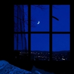 فروشگاه G 