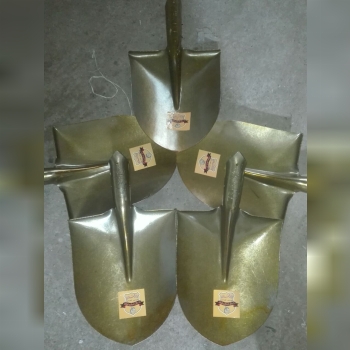 بیل محمدی اماده ارسال