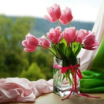 فروشگاه Saeid Shakibaei