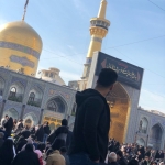 فروشگاه Abili 